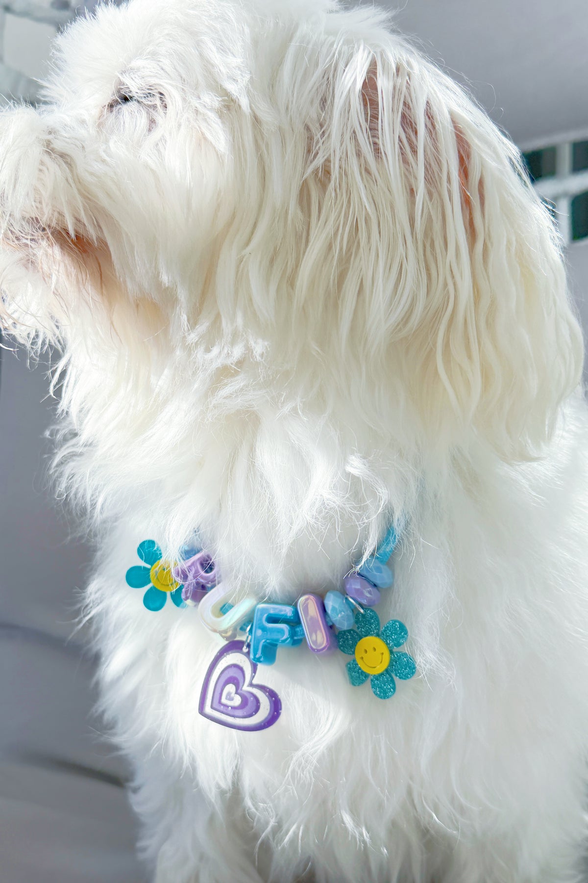 Personalised Pet Collar | Custom Name Beaded Collar